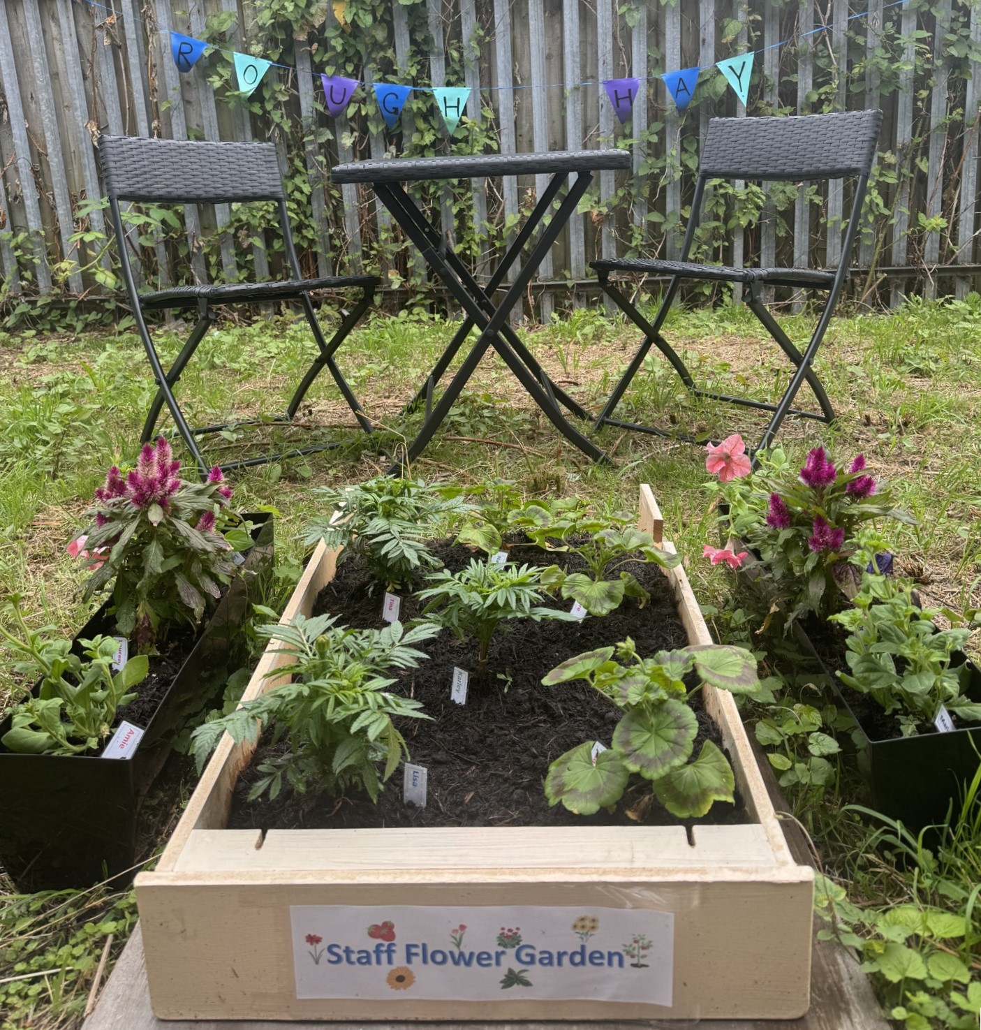 A container with plants for the staff